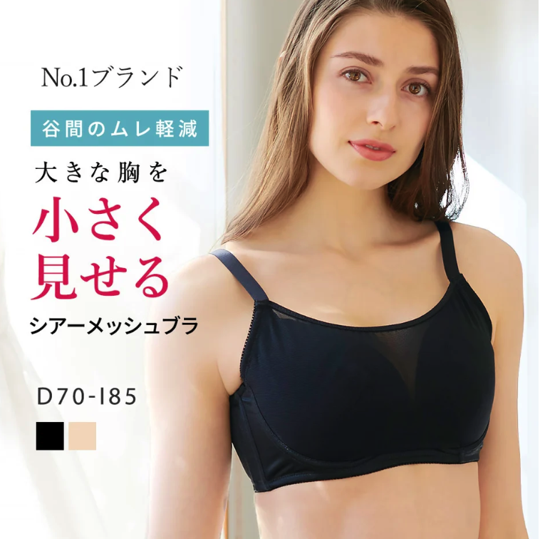 ルルスマートブラ シアーメッシュブラ